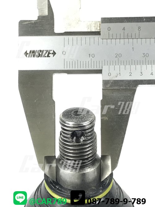 ขาไก่พวงมาลัย