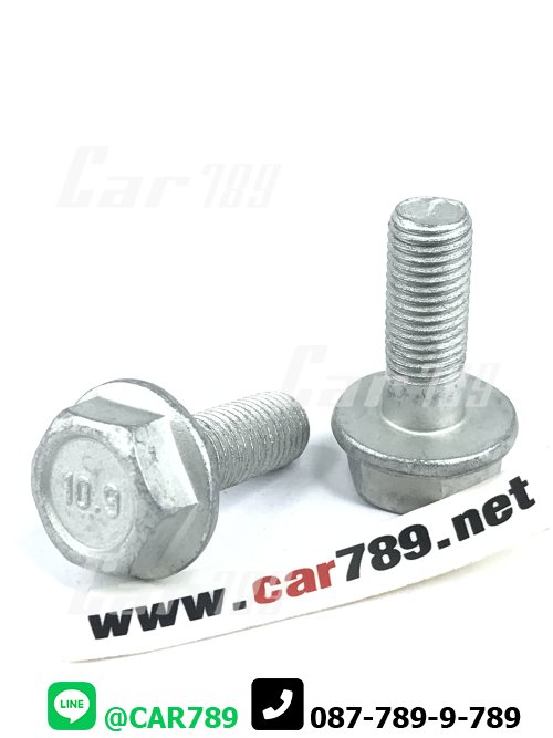 สกรูสลักดิสเบรคหลัง