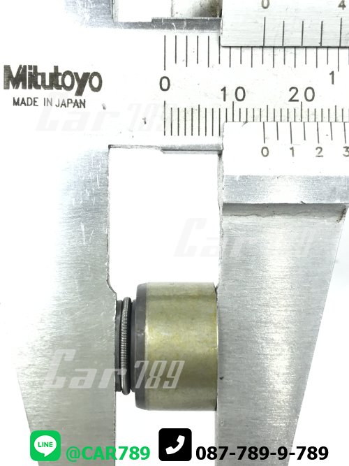 ซิลหมวกวาวล์