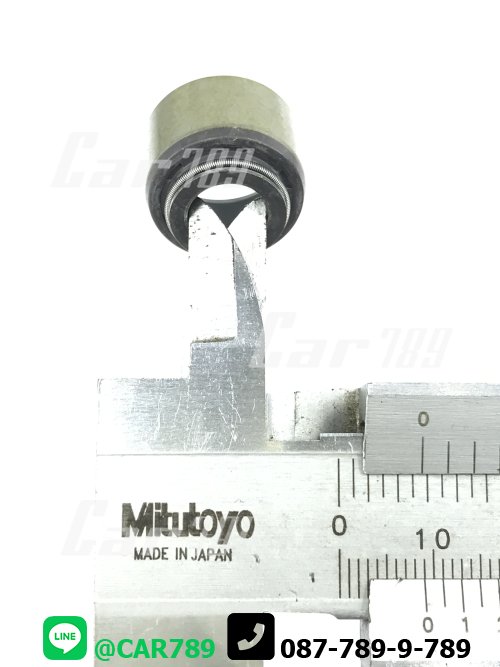 ซิลหมวกวาวล์