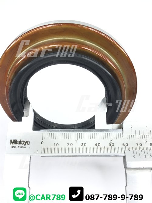 ซิลเดือยหมู